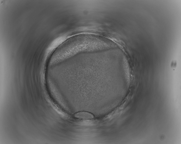 X0000096170149200802011327