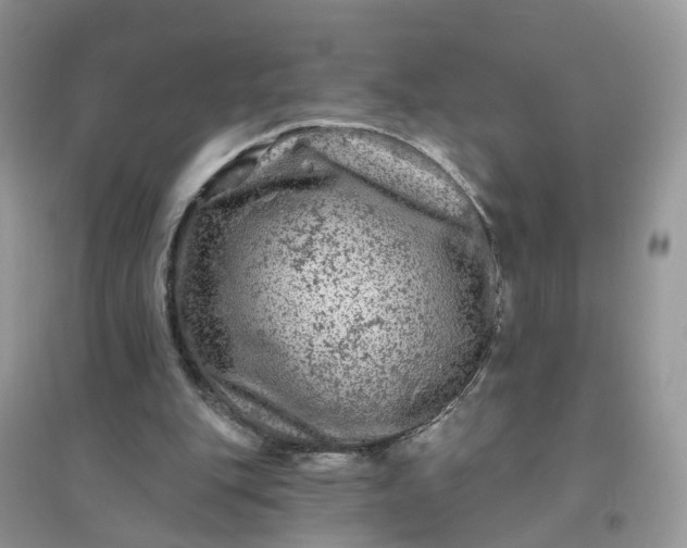 X0000096170151200802011327