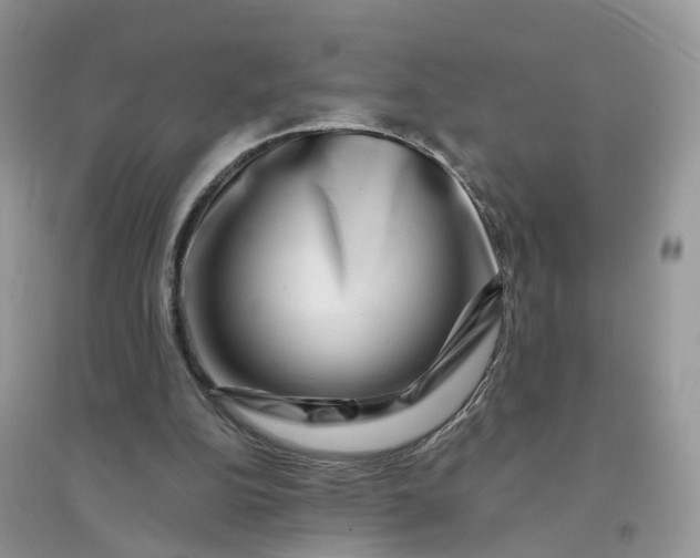 X0000096170152200802011327