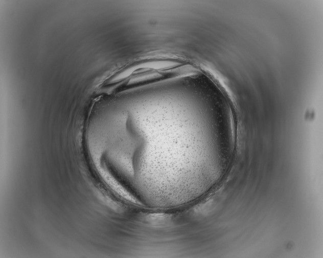 X0000096170153200802011327