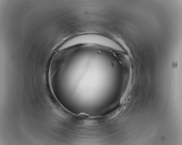 X0000096170154200802011327