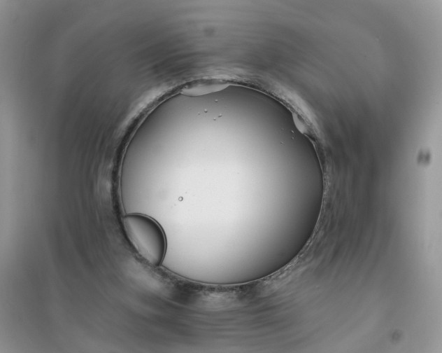 X0000096170155200802011327