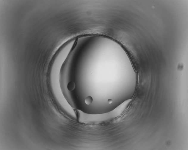 X0000096170156200802011327