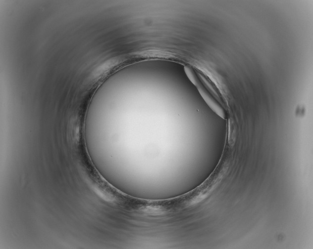 X0000096170157200802011327