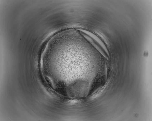 X0000096170158200802011327