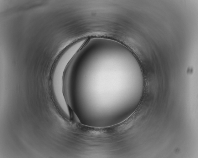 X0000096170160200802011327