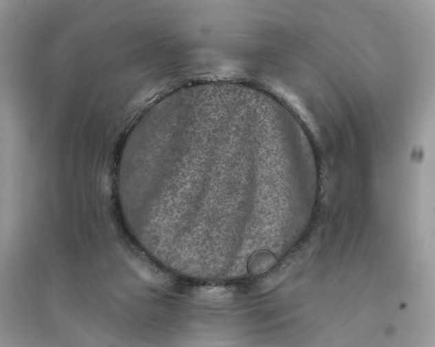 X0000096170161200802011327