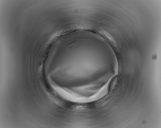 X0000096170163200802011327