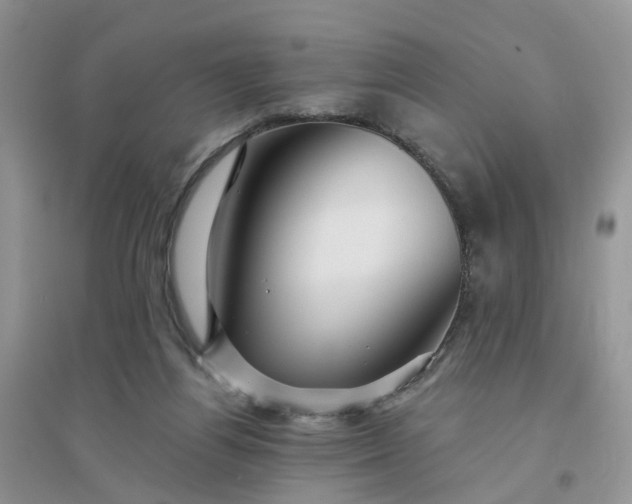 X0000096170164200802011327