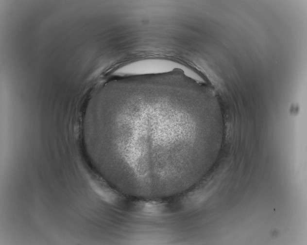 X0000096170165200802011327