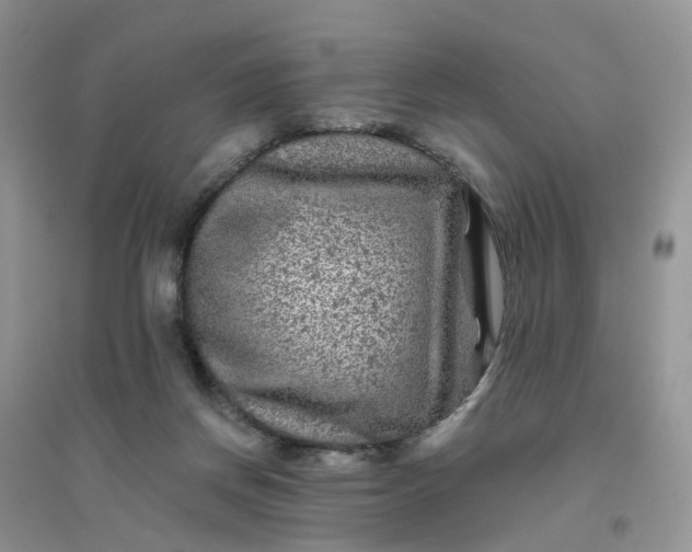 X0000096170166200802011327