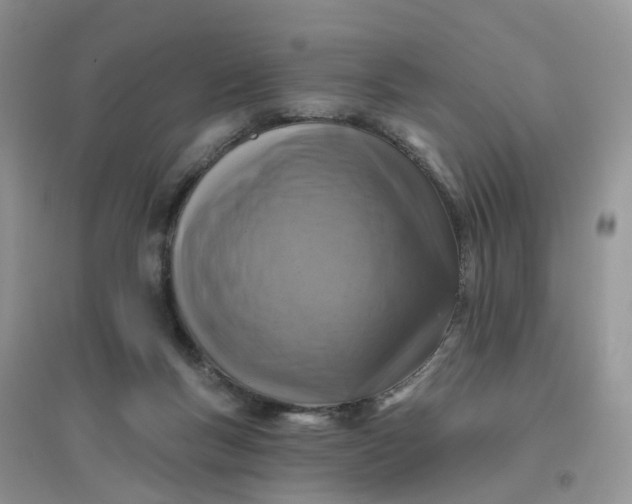 X0000096170167200802011327