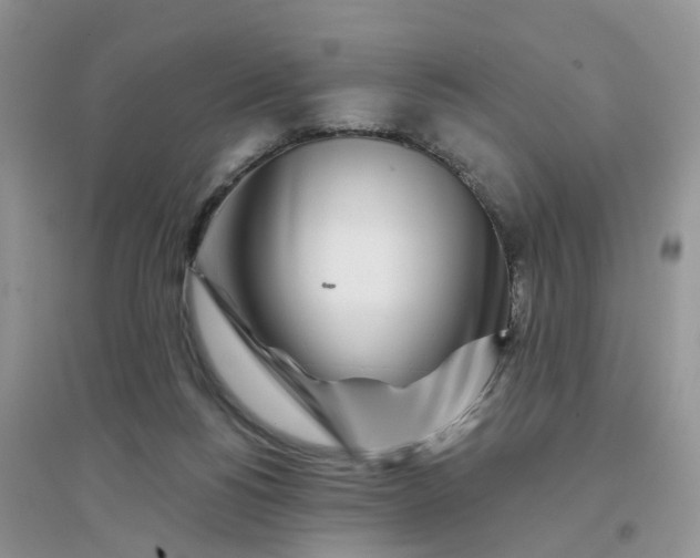 X0000096170168200802011327