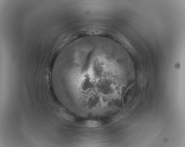 X0000096170169200802011327