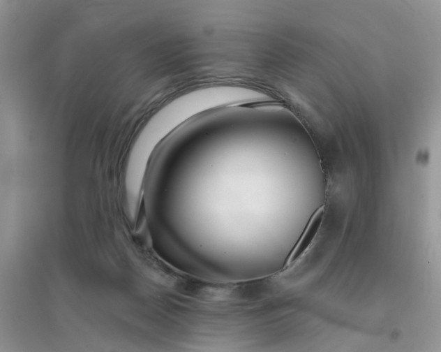 X0000096170170200802011327