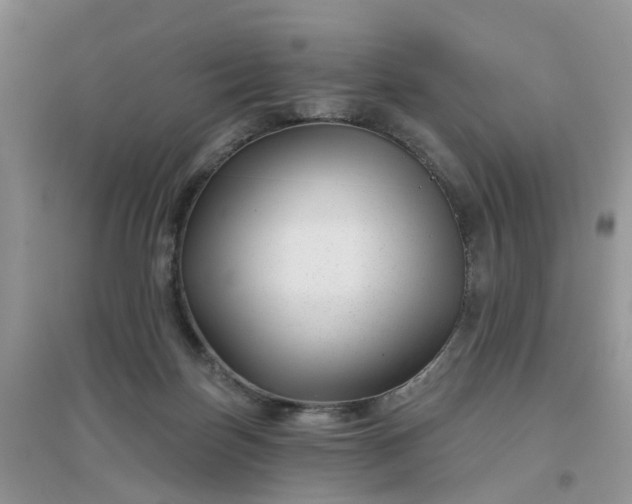 X0000096170171200802011327