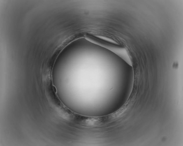 X0000096170172200802011327