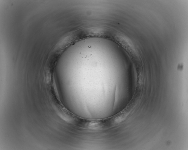 X0000096170173200802011327