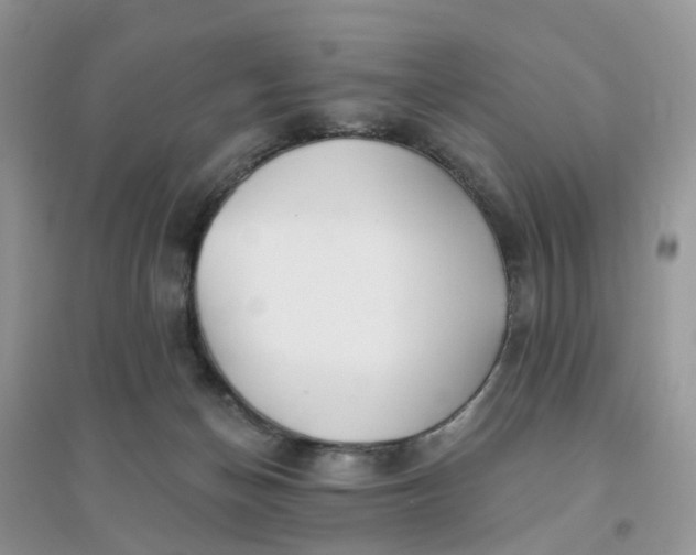 X0000096170174200802011327