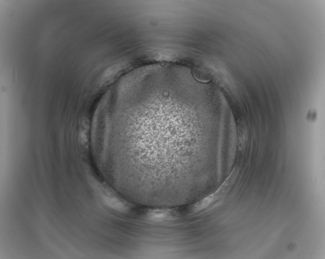 X0000096170175200802011327