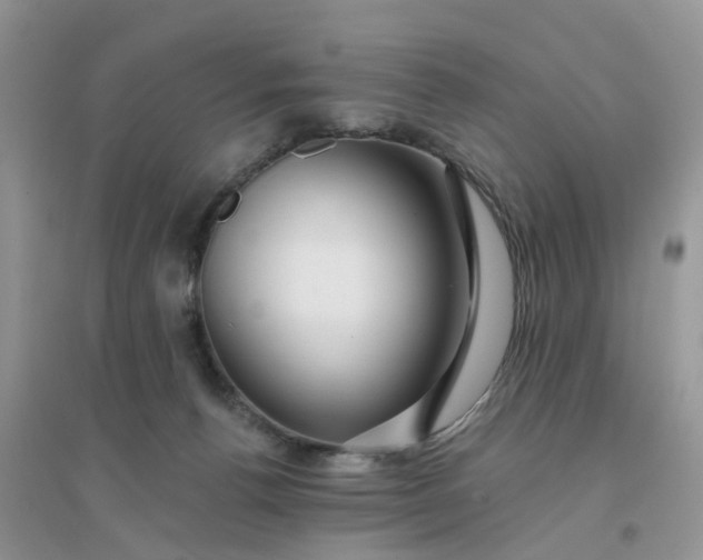 X0000096170176200802011327