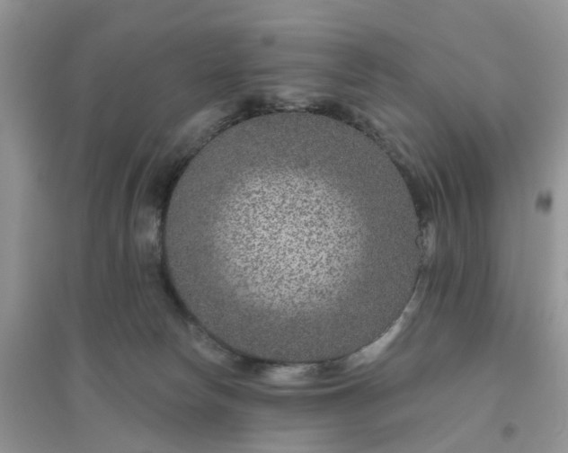 X0000096170178200802011327