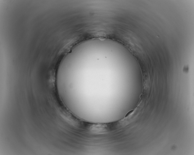 X0000096170179200802011327