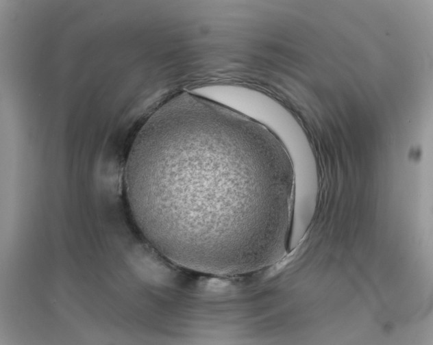 X0000096170180200802011327