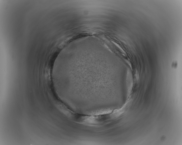 X0000096170182200802011327