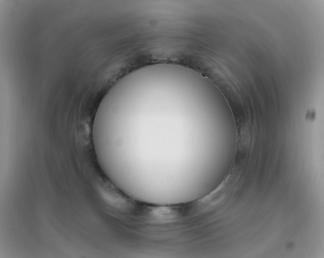 X0000096170183200802011327