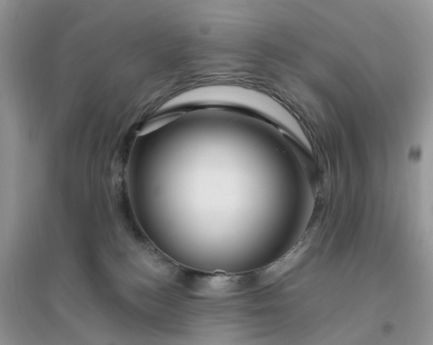 X0000096170184200802011327