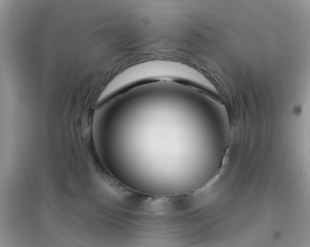 X0000096170186200802011327