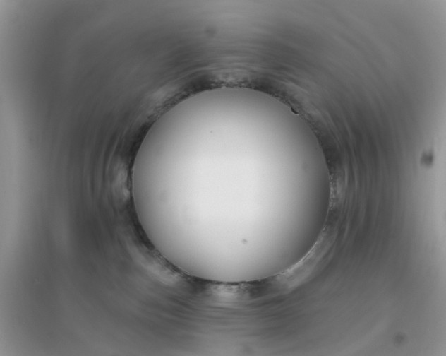 X0000096170187200802011327