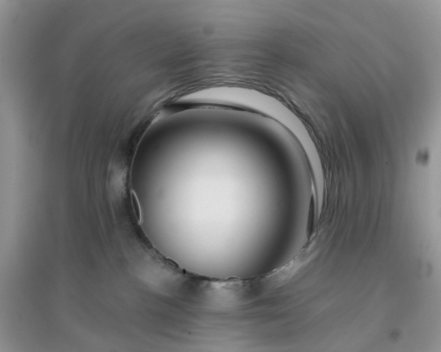 X0000096170188200802011327