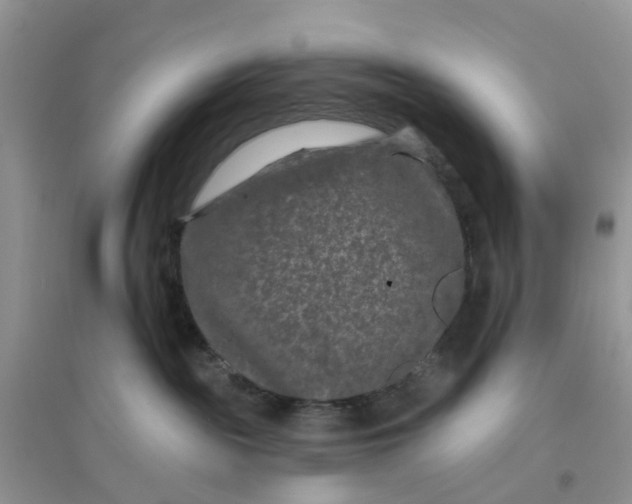 X0000096170189200802011327