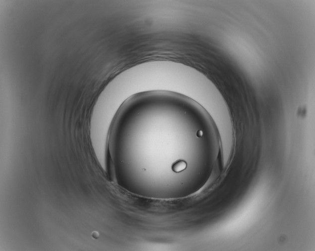 X0000096170190200802011327