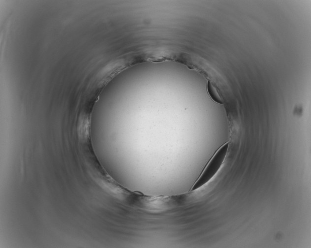 X0000096170191200802011327