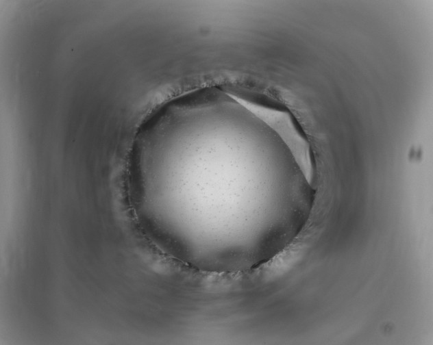 X0000096170192200802011327