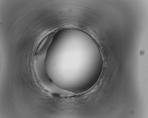 X0000096170193200802011327