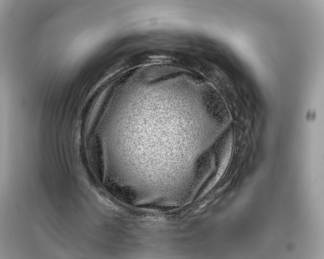 X0000096170194200802011327