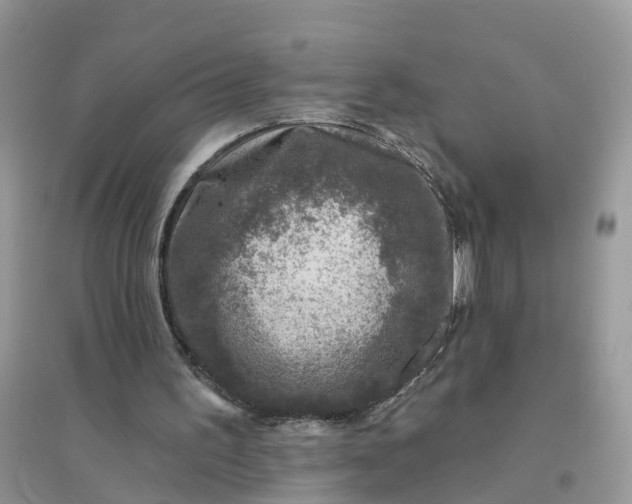 X0000096170195200802011327