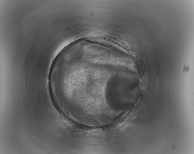 X0000096170196200802011327