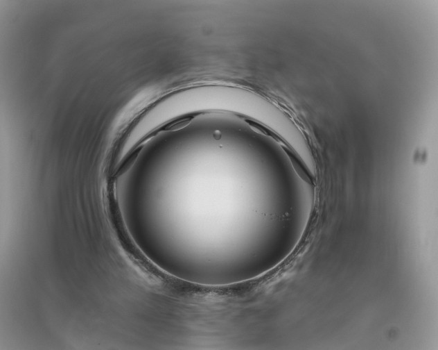 X0000096170197200802011327