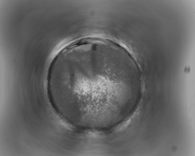 X0000096170199200802011327