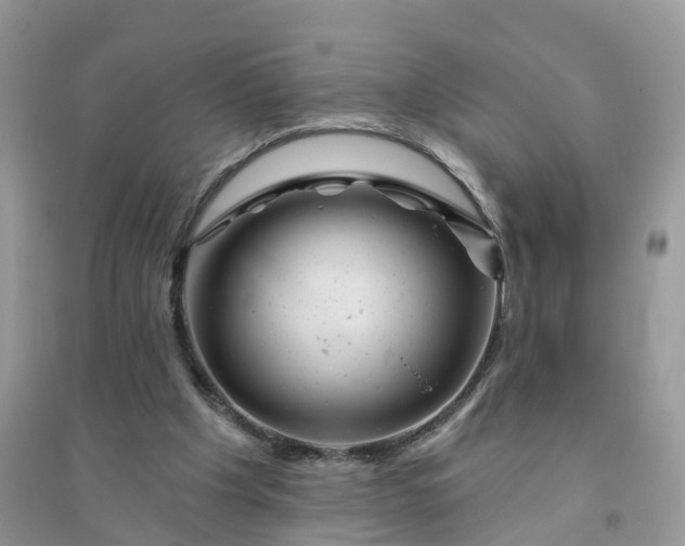 X0000096170201200802011327