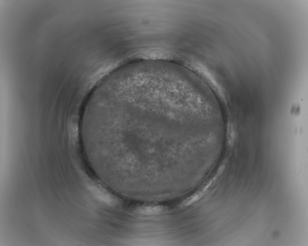 X0000096170202200802011327