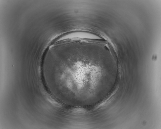 X0000096170203200802011326