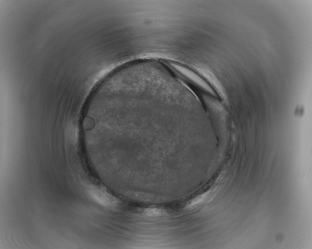 X0000096170204200802011326