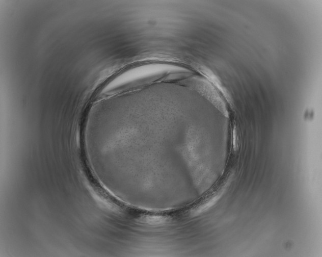 X0000096170205200802011326