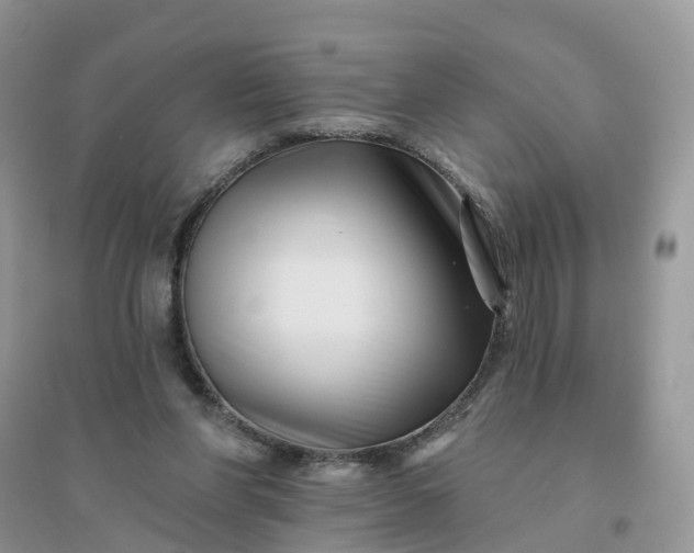 X0000096170206200802011326